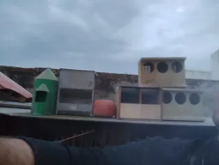 Comederos y Bebederos Verdes