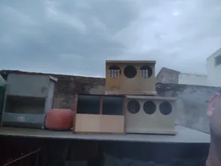 Comederos y Bebederos Verdes