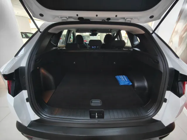 HYUNDAI TUCSON MAXX
