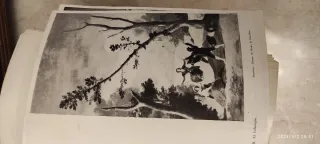 Libro Cuadros de Goya epoca Blancos y Negros