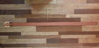 Gucci Belt GG Gold Beige