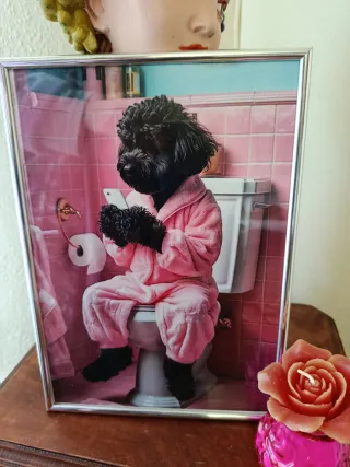 Duo Ocas  Variedad de cuadros