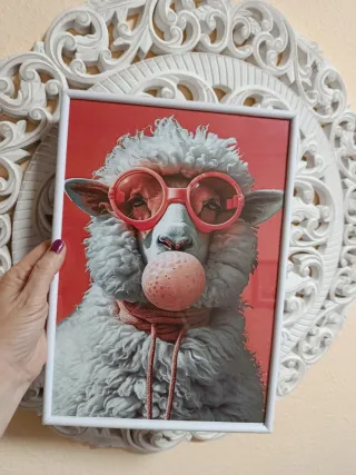 Duo Ocas  Variedad de cuadros