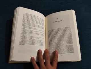 El hechizo del rey (Colección Novela históric...