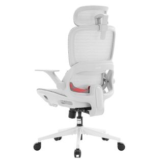 Silla de oficina/escritorio ergonómica B-100 LITE