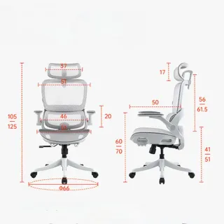 Silla de oficina/escritorio ergonómica B-100 LITE