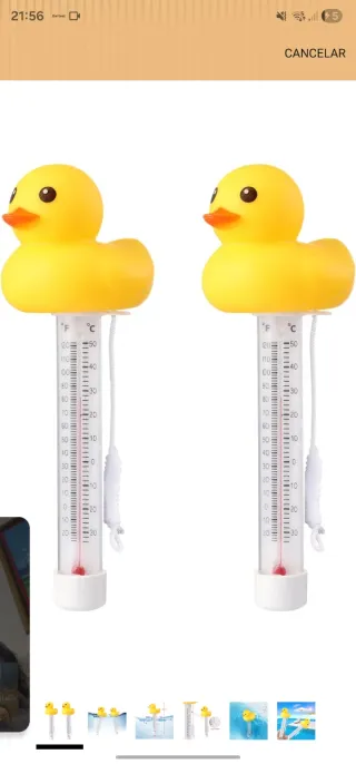 Termómetro flotante para piscina