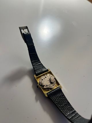 Reloj Ricard Automático Suizo