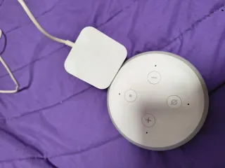 Altavoz Alexa 1ª Gen
