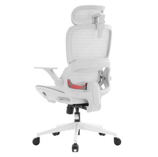 Silla de oficina/escritorio ergonómica B-100 LITE