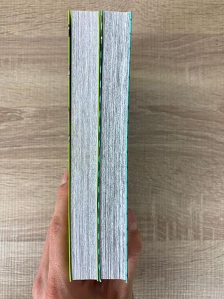 Lote JoJo's Bizarre Adventure