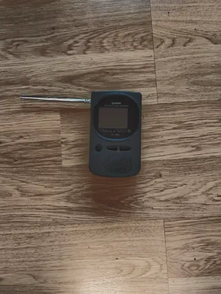 TV Casio Gris LCD Portátil