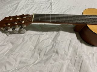 Guitarra admira guitalele
