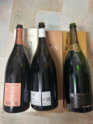 Bottiglie vuote spumanti Trento DOC