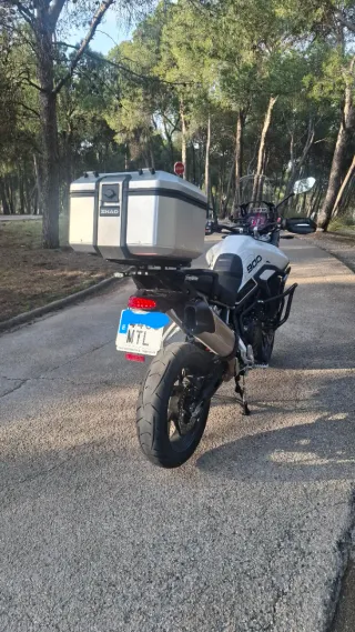 Moto Triumph Tiger 900 GT Pro