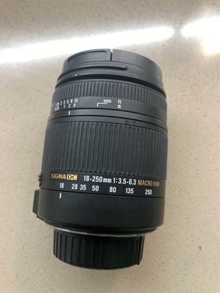 Sigma 18 250mm Macro HSM per Nikon
