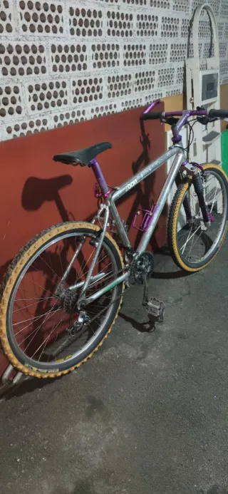 Bicicleta de Montaña