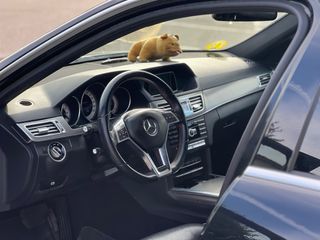 Mercedes-Benz Clase E 2013