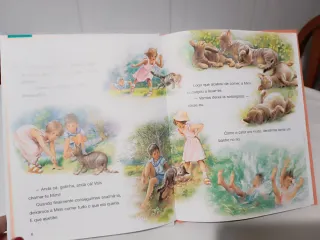 Martine e o Gatinho Perdido: Livro de Histórias...