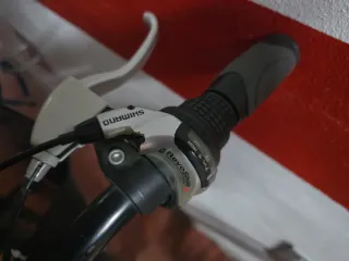 Bicicleta de Montaña