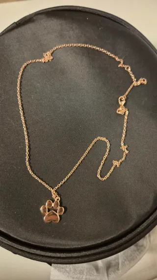 Colgante pata de plata rosa