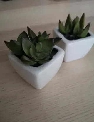 Plantas decorativas cerámica y plástico