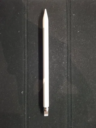 Ipad 8ª Generación 32G con Apple Pencil y funda.