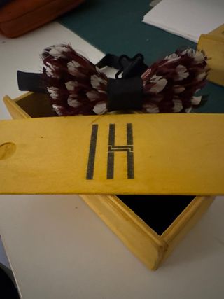 Pajarita Plumas Faisán