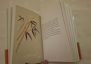 Lote 2 libros Ilustrados de Paulo Coelho.