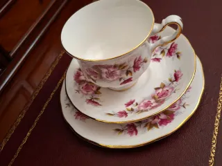 Taza y platillos de porcelana inglesa