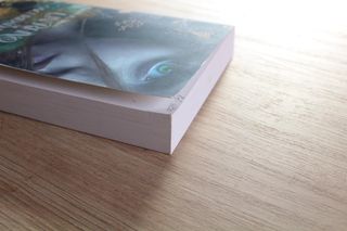 Un reino de oscuridad y fuego Karen A. Moon