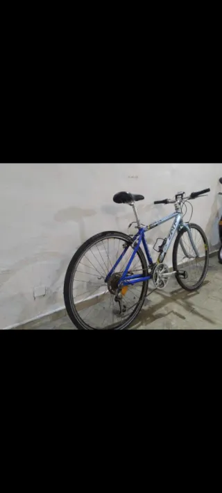 Bicicleta Zeus en buen estado. No negociable
