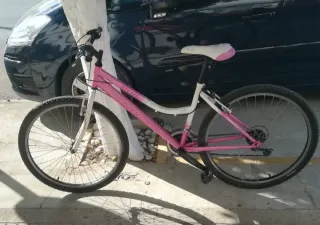 Bicicleta Rosa y Blanca