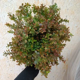 Set 3 Rami Bosso Artificiale Buxus