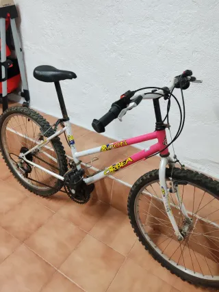 Bicicleta Montaña Orbea Moon