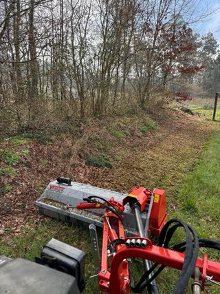 Trabajos agroforestales
