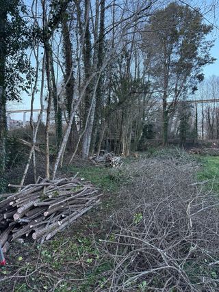 Trabajos agroforestales