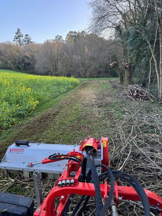 Trabajos agroforestales