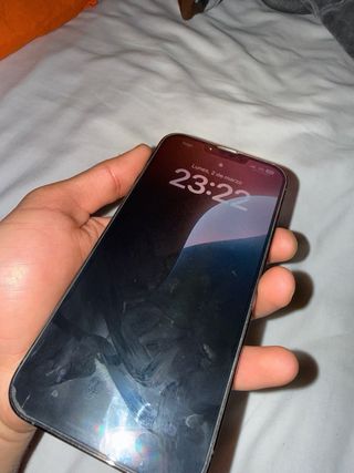 iPhone 13 Pro max gris