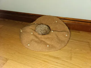 Boina de lana con perlas