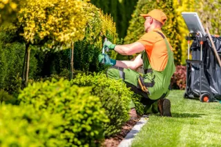 JARDINERÍA AL COMPLETO