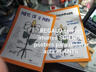 Materiales Profesores Inglés Primaria