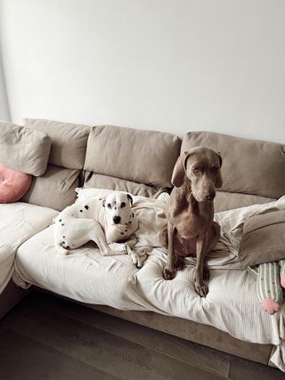 Sofá Chaiselongue con Canapé Beige