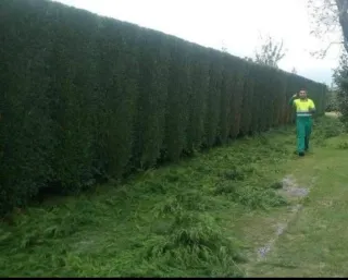 Limpieza, desbroze, siega Poda y tala en altura