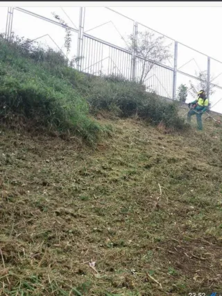 Limpieza, desbroze, siega Poda y tala en altura