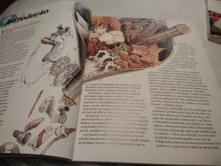 Livro Infantil Assim se Faz! Usado