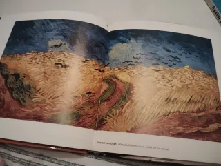 Guia Vincent van Gogh: Life, Work Novo