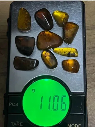 Fósil de insecto en ámbar. 10/13/17