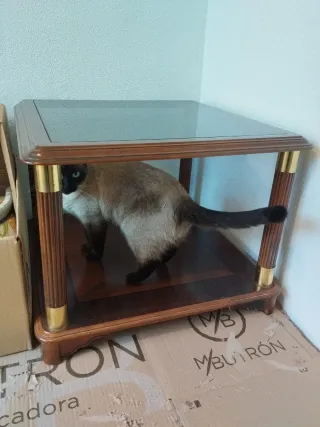 Tavoli ausiliari in legno e vetro.