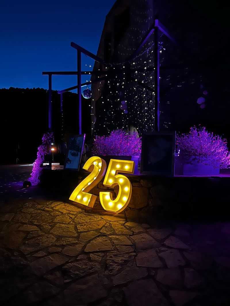 Alquiler de Sonido y Luces para Eventos afbeelding 8